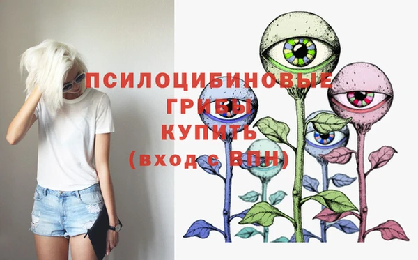 прущие крисы Балахна