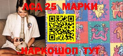 твердый Бердск