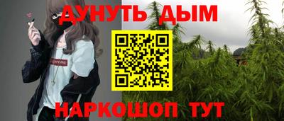 твердый Бердск