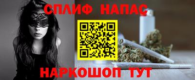 твердый Бердск