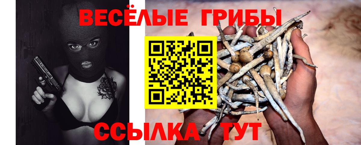 Псилоцибиновые грибы Psilocybine cubensis Белово