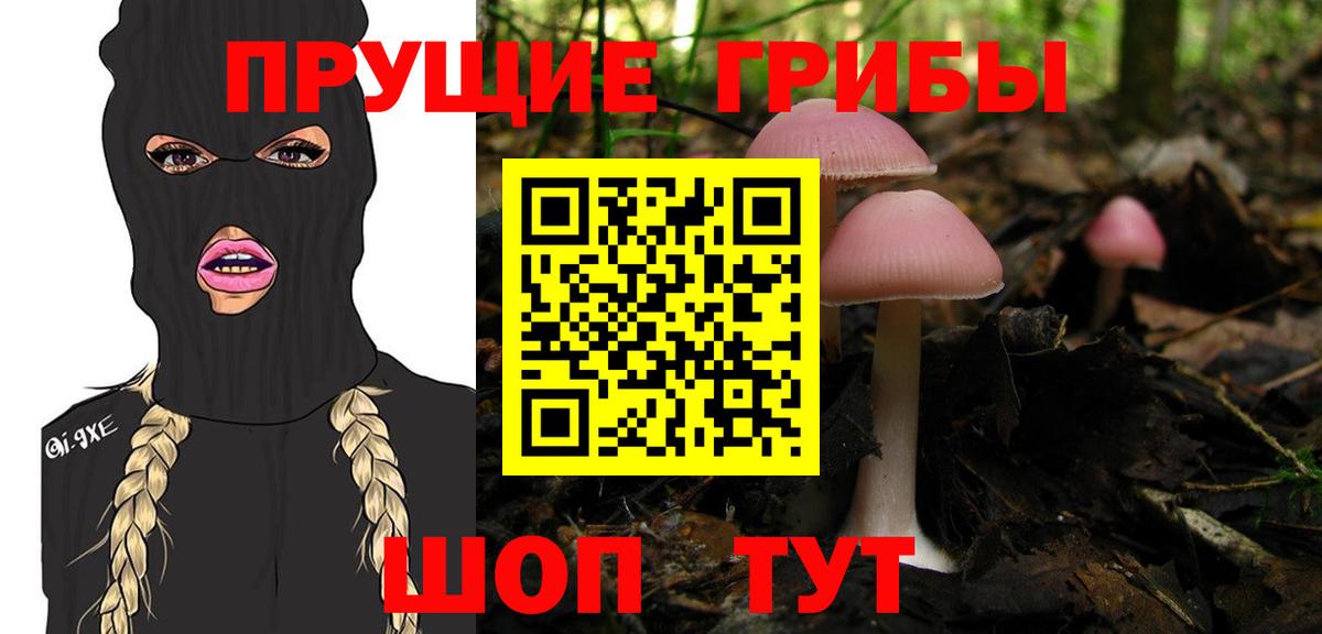 Псилоцибиновые грибы MAGIC MUSHROOMS  Вход с VPN  Белово 