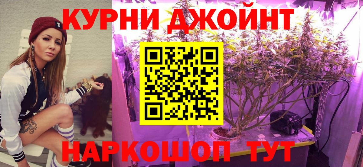 МАРИХУАНА конопля Белово
